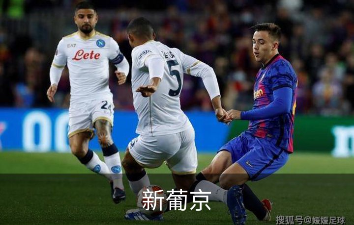 了解新葡京